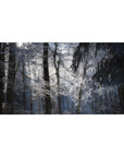 Frost-covered forest 40x20 desk pad with icy branches and soft sunlight dancing through, creating a peaceful and tranquil winter scene