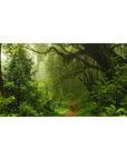Rainforest 40x20 desk pad featuring moss-covered trees, ferns, and vines, with soft light filtering through mist for a lush, peaceful atmosphere