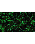 Desk pad featuring electrifying green geometric lines against a dark background, 40x20 inches, perfect for adding bold, futuristic energy to your workspace.