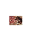 Classic anime mouse pad 14x10 inches with shattered metal hand and crimson alchemy circles over sepia sky.