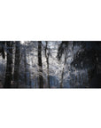 Nature Landscapes Deskmat | Mousepad | Deskpad - Frosted Tranquility