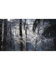 Nature Landscapes Deskmat | Mousepad | Deskpad - Frosted Tranquility