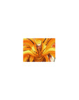 Classic anime mouse pad 14x10 inches with Kurama chakra flames, spiral seal detail, bold black line art.