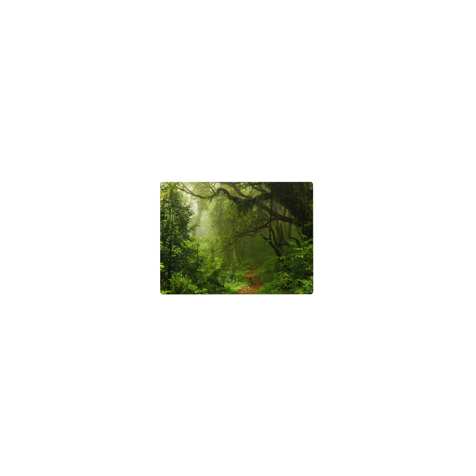 Nature Landscapes Deskmat | Mousepad | Deskpad - Misty Rainforest Path