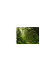 Nature Landscapes Deskmat | Mousepad | Deskpad - Misty Rainforest Path