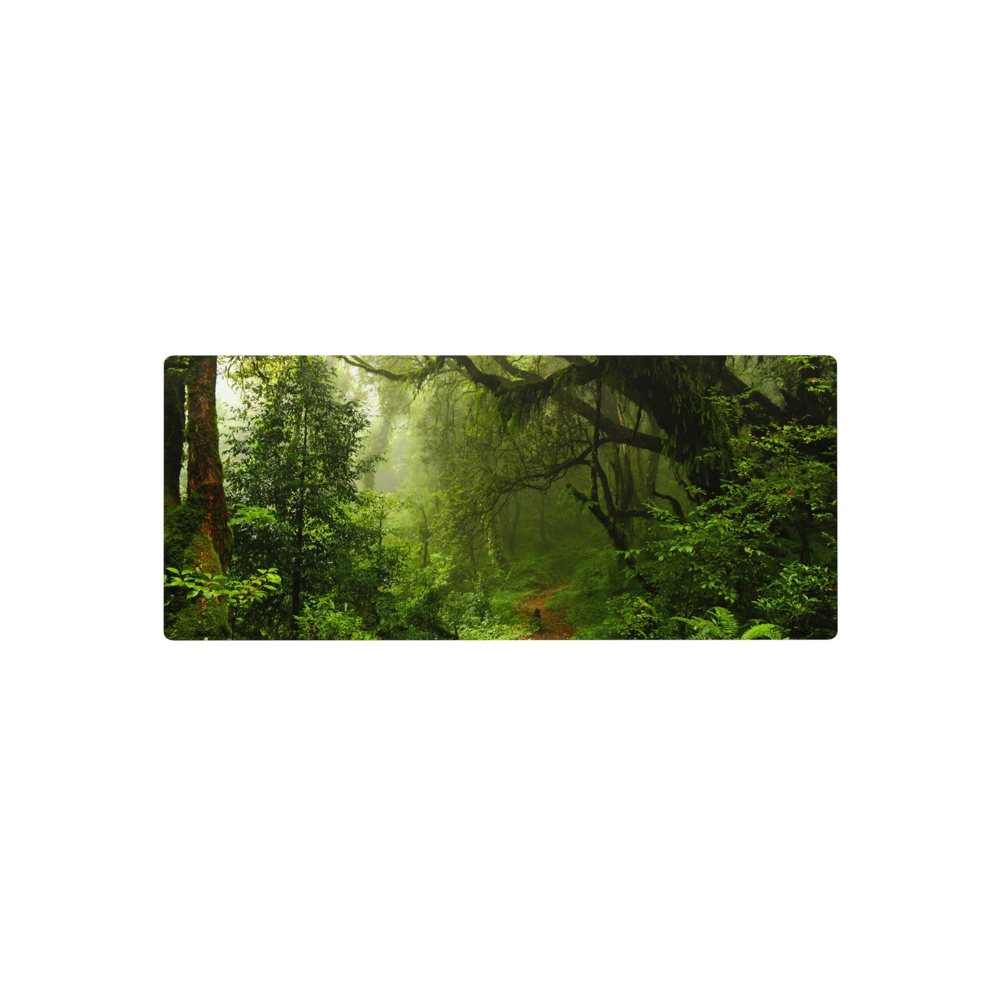 Nature Landscapes Deskmat | Mousepad | Deskpad - Misty Rainforest Path