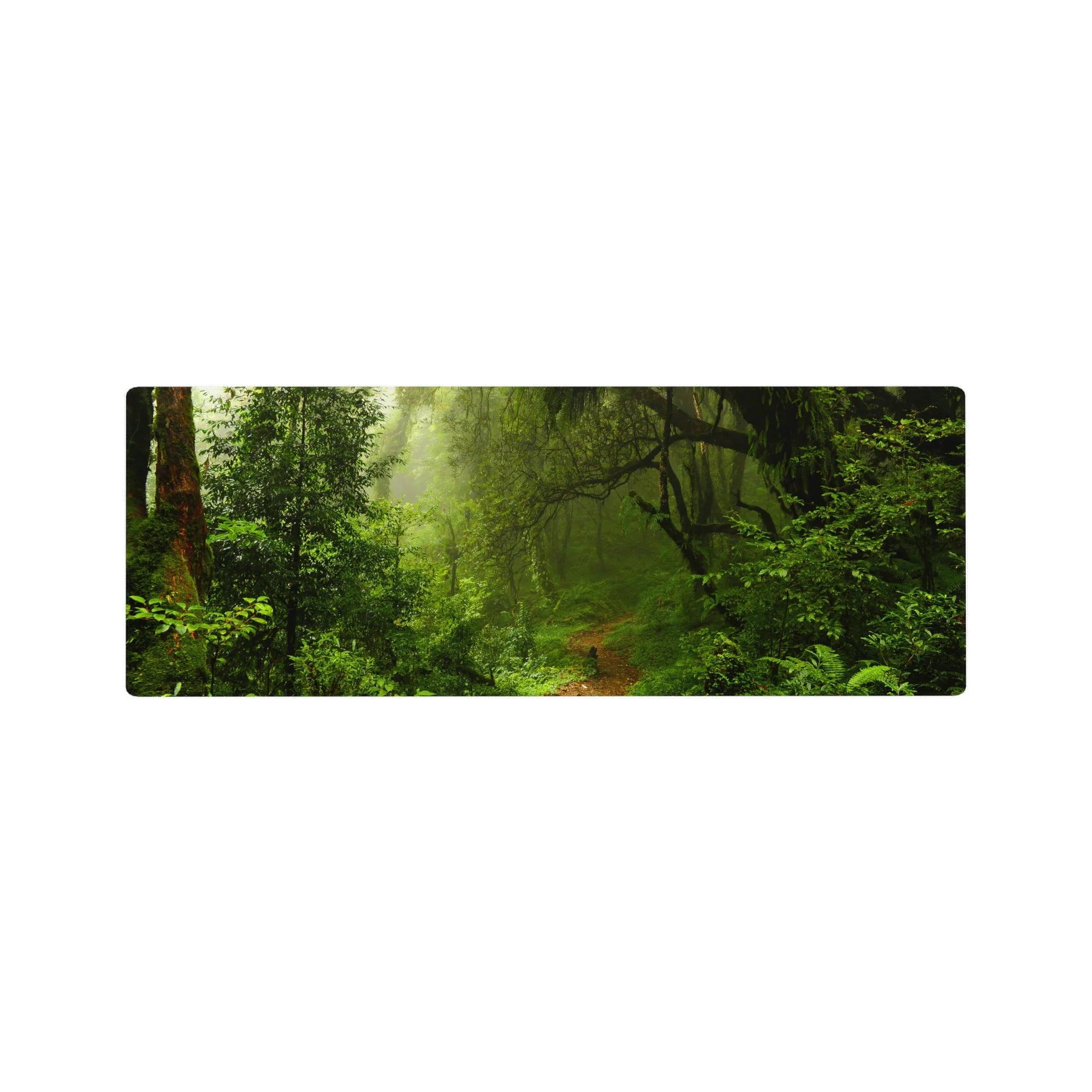 Nature Landscapes Deskmat | Mousepad | Deskpad - Misty Rainforest Path