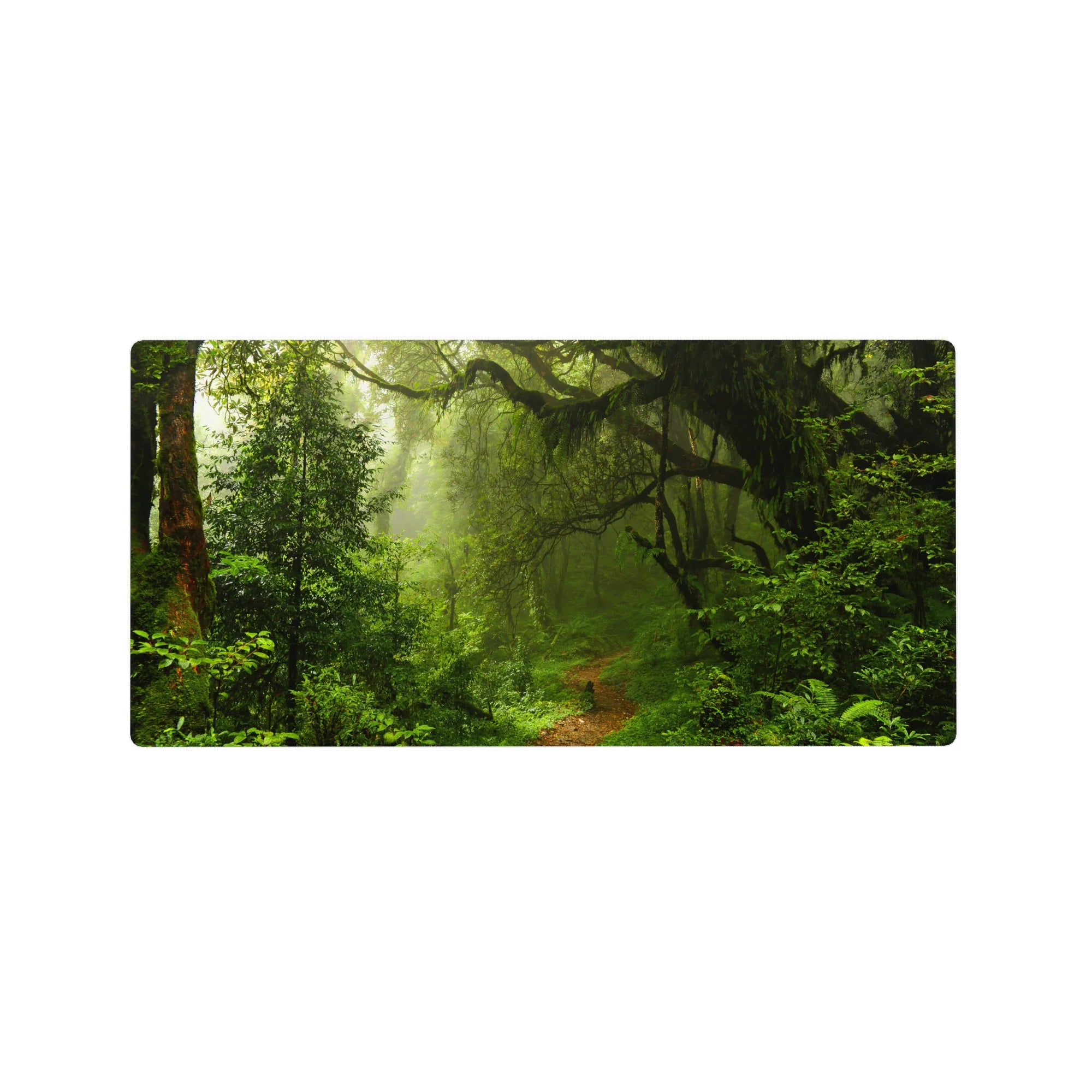 Nature Landscapes Deskmat | Mousepad | Deskpad - Misty Rainforest Path