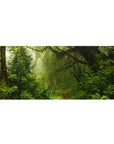 Nature Landscapes Deskmat | Mousepad | Deskpad - Misty Rainforest Path