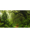 Nature Landscapes Deskmat | Mousepad | Deskpad - Misty Rainforest Path