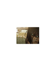 Attack on Titan - Anime Mouse Pad and Desk Pad - Titan’s Wrath - AniChan